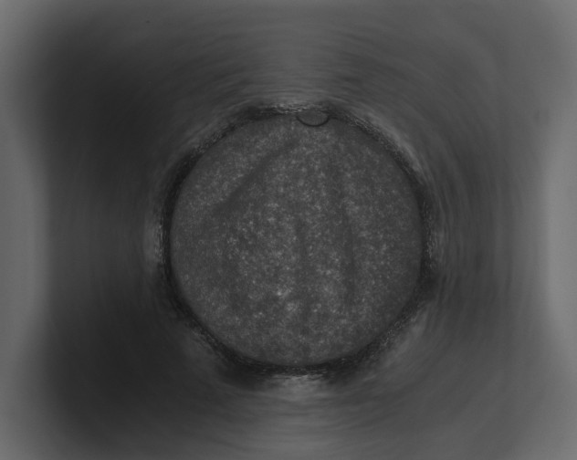 X0000100900689200807151118