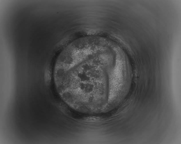 X0000100900691200807151118