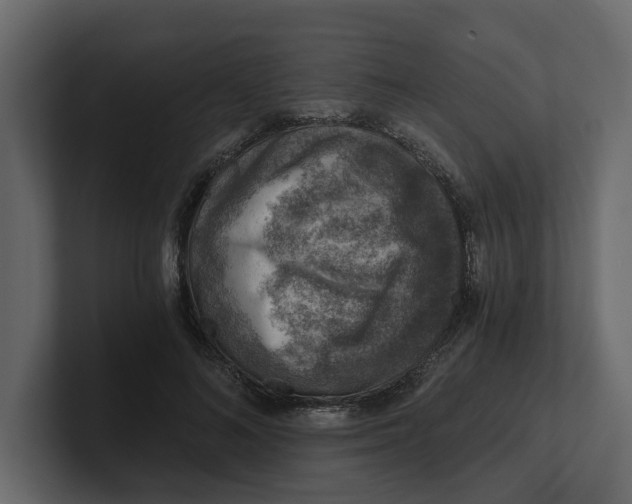 X0000100900692200807151118