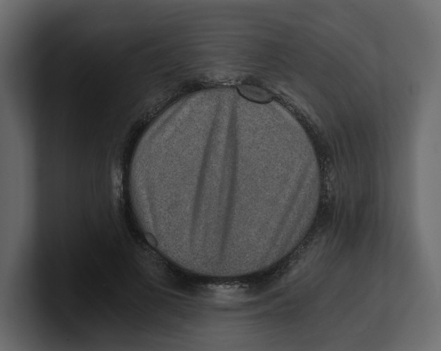 X0000100900693200807151118