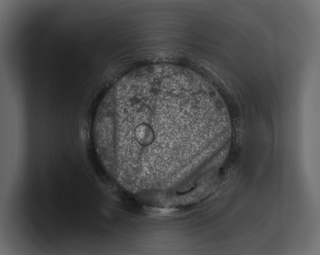 X0000100900695200807151118