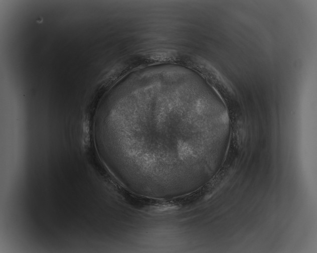 X0000100900696200807151118