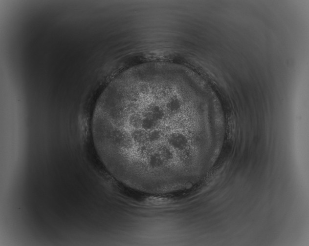 X0000100900699200807151118