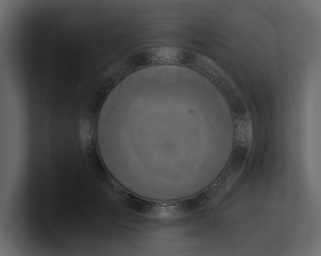 X0000100900701200807151118