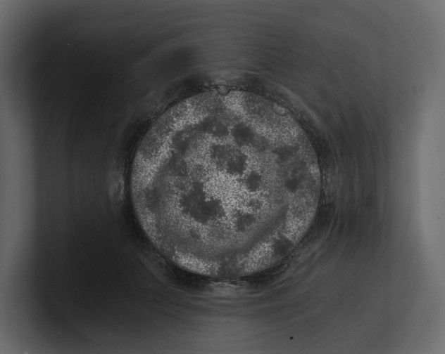 X0000100900703200807151118