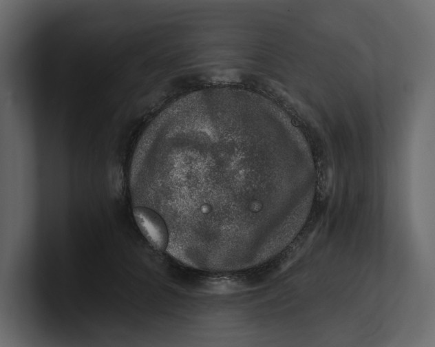 X0000100900704200807151118