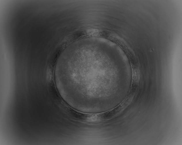 X0000100900705200807151118