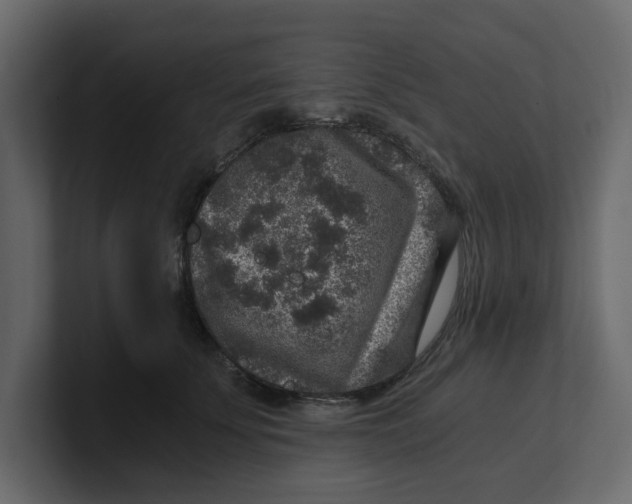 X0000100900707200807151118