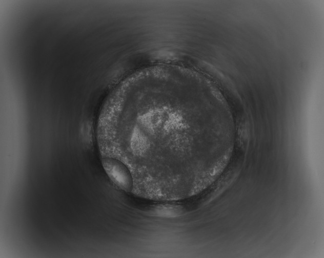 X0000100900708200807151118