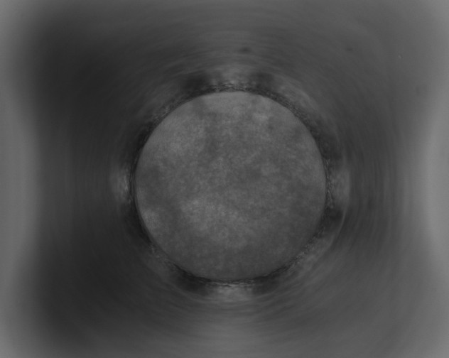 X0000100900709200807151118