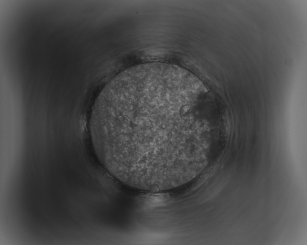 X0000100900711200807151118