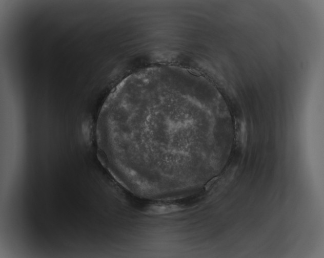 X0000100900712200807151118