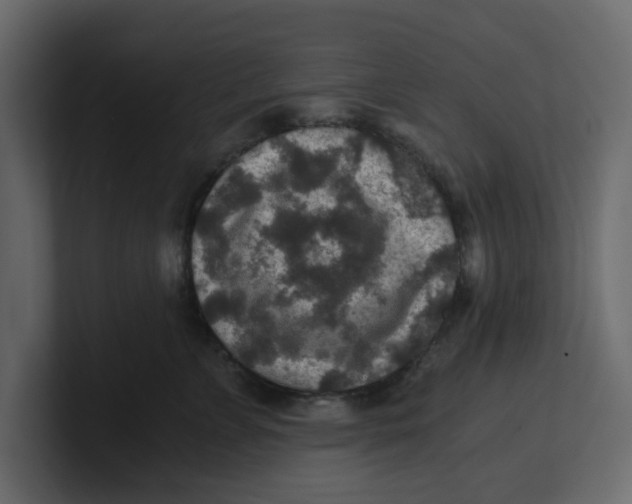 X0000100900715200807151118