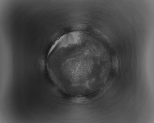 X0000100900716200807151118