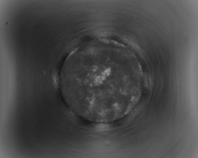 X0000100900718200807151118