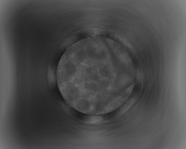 X0000100900719200807151118