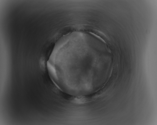 X0000100900720200807151118