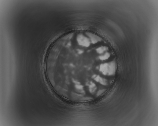 X0000100900721200807151117