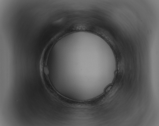 X0000100900722200807151117