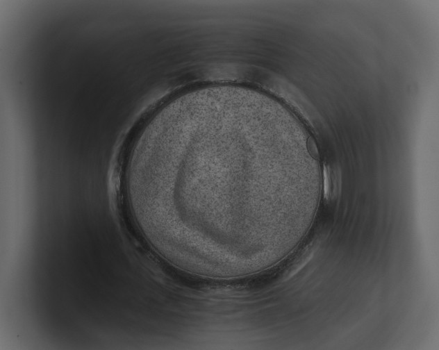 X0000100900723200807151117