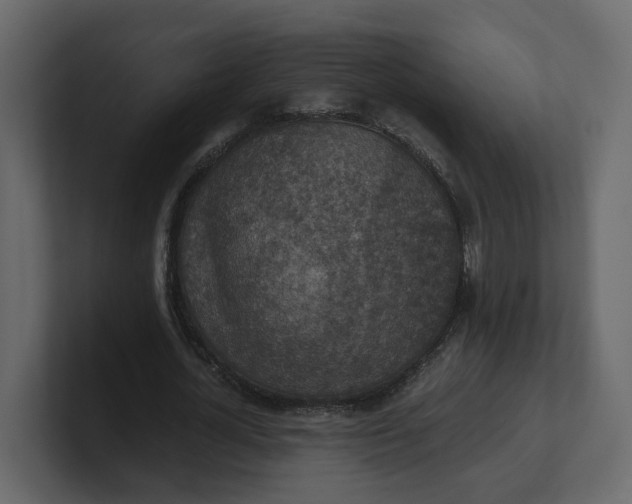 X0000100900724200807151117