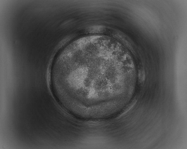 X0000100900725200807151117