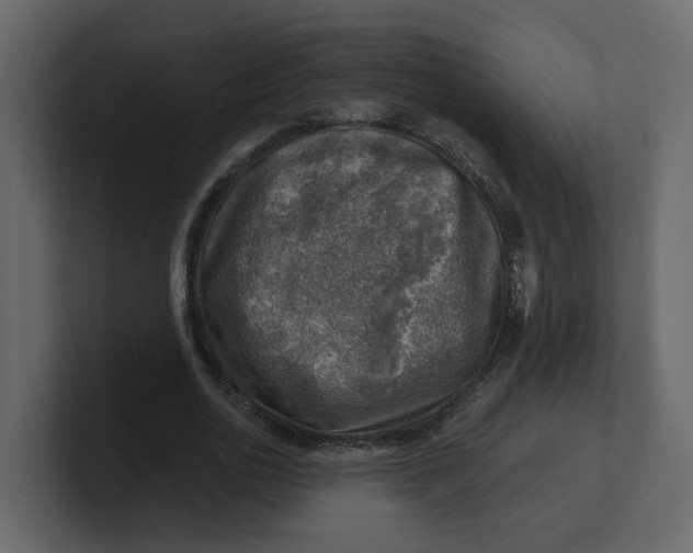 X0000100900726200807151117