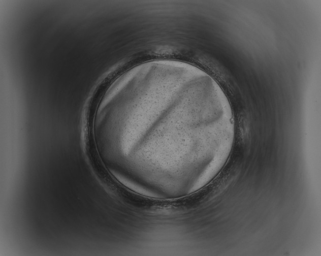 X0000100900728200807151117