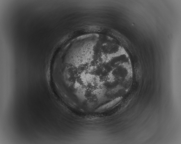 X0000100900729200807151117