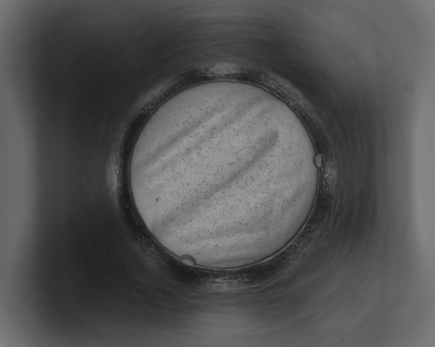 X0000100900732200807151117