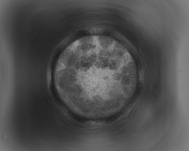 X0000100900733200807151117