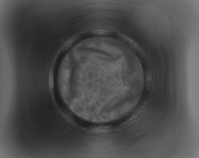 X0000100900734200807151117