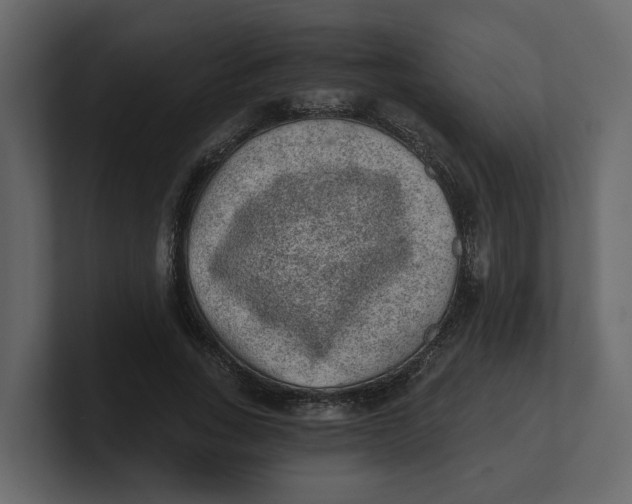 X0000100900735200807151117