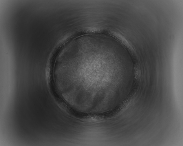 X0000100900736200807151117