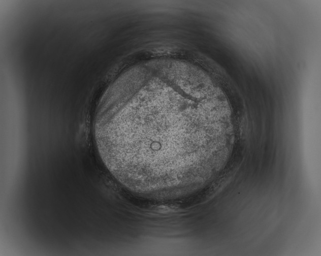 X0000100900737200807151117