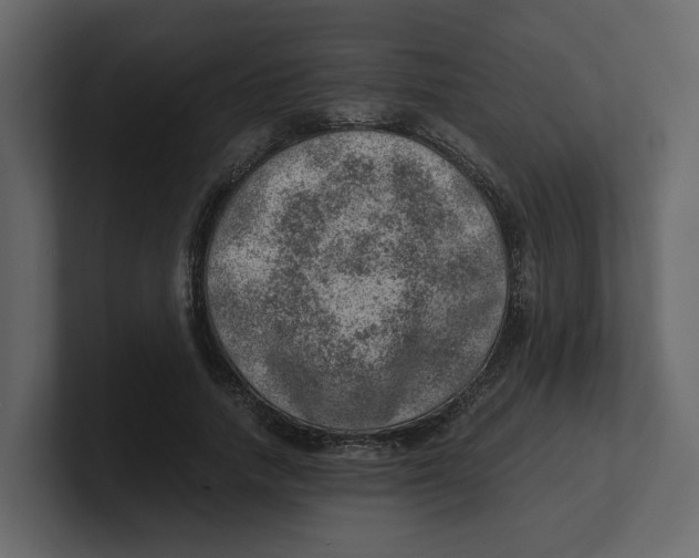 X0000100900738200807151117