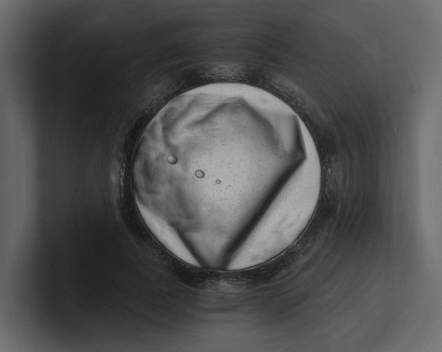 X0000100900739200807151117