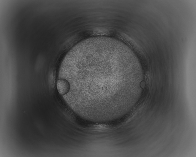 X0000100900741200807151117