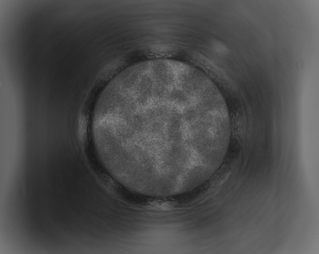 X0000100900742200807151117