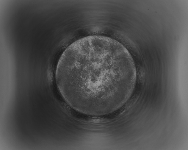 X0000100900746200807151117