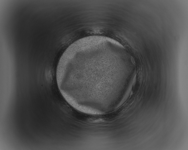 X0000100900747200807151117