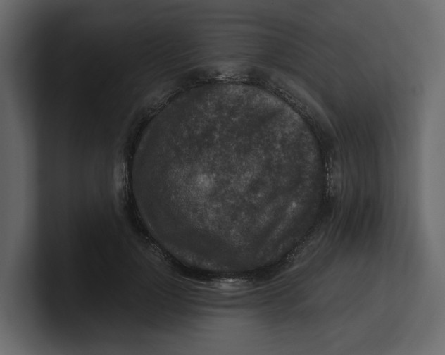 X0000100900748200807151117