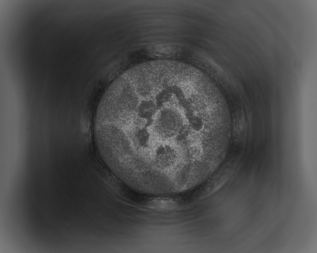 X0000100900749200807151117