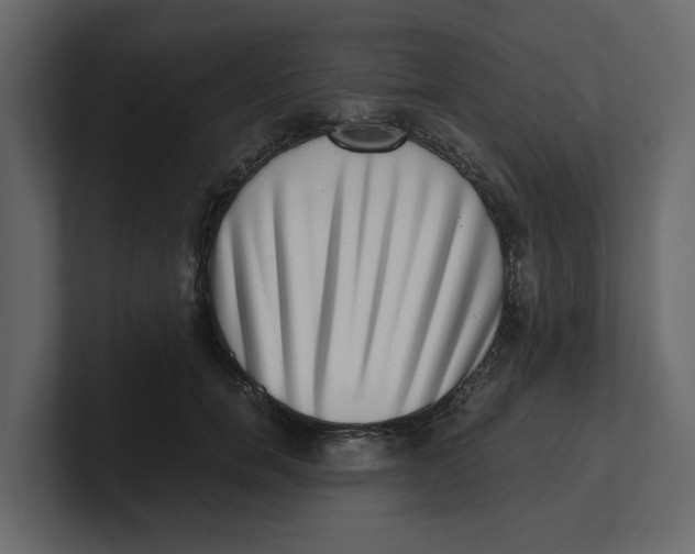 X0000100900750200807151117