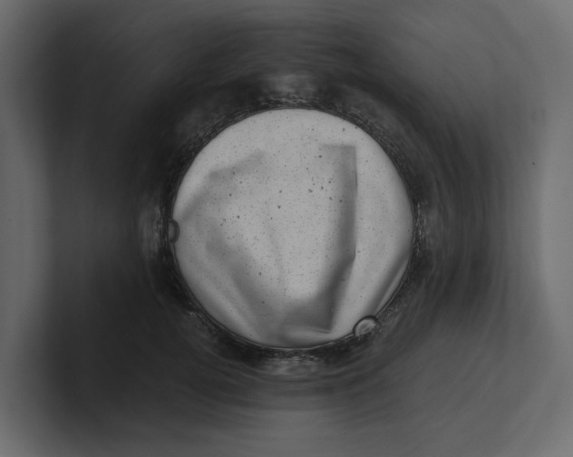 X0000100900752200807151118