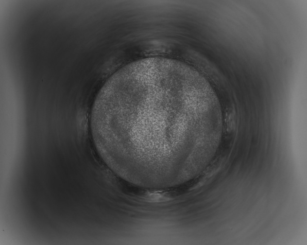 X0000100900753200807151118