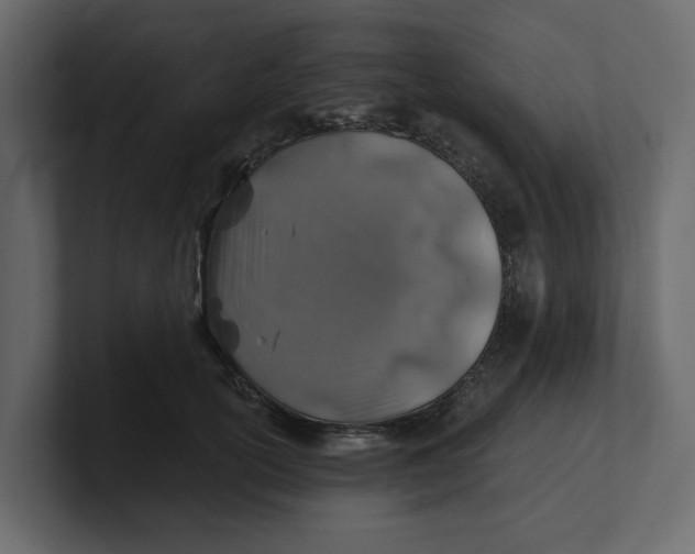 X0000100900754200807151118