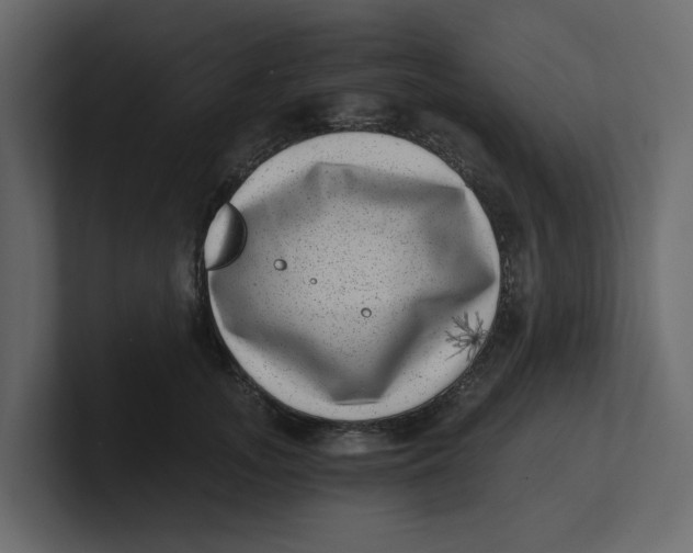 X0000100900755200807151118