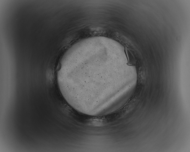 X0000100900756200807151118