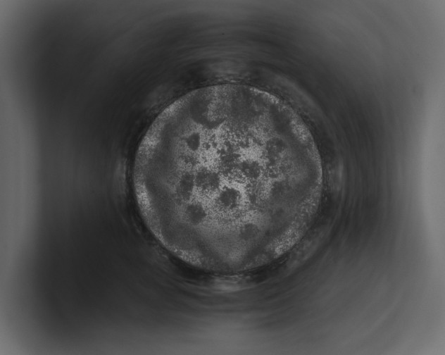 X0000100900757200807151118